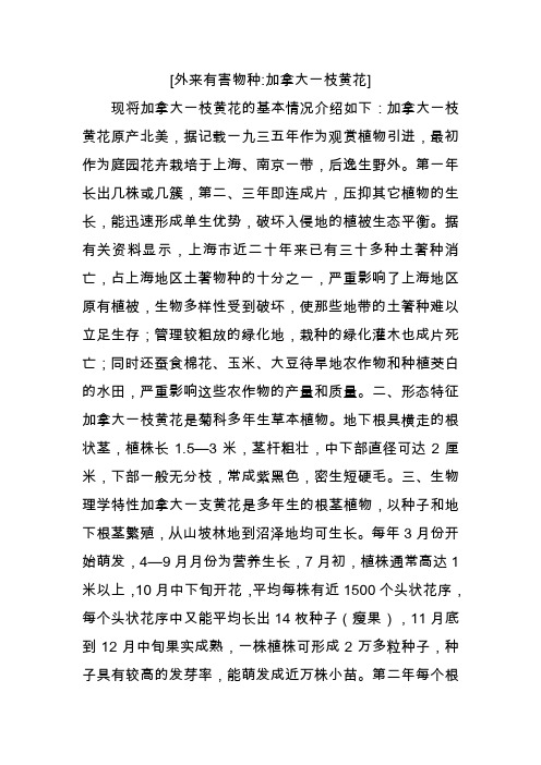 [外来有害物种加拿大一枝黄花].