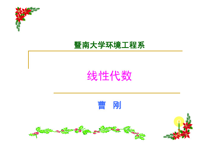 线性代数1-01 逆序数-行列式定义
