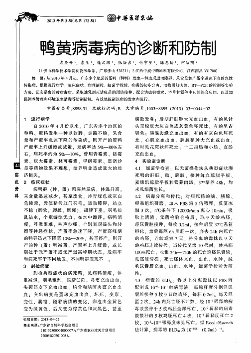 鸭黄病毒病的诊断和防制-论文