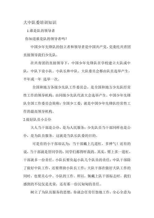 少先队队长培训知识