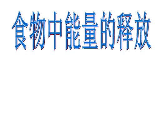 最新北师大版初中生物七年级下册《10第1节 食物中能量的释放》精品PPT课件 (6)