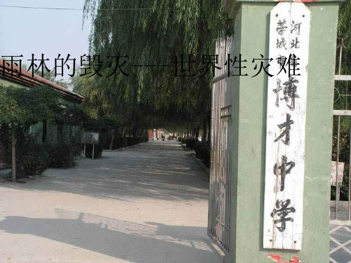 语文版八年级语文上册《雨林的毁灭——世界性灾难》优质课课件(60张ppt).ppt