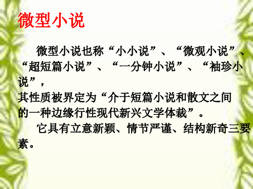 高中作文_微型小说(1)