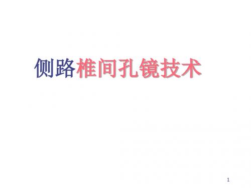 侧路椎间孔镜ppt课件