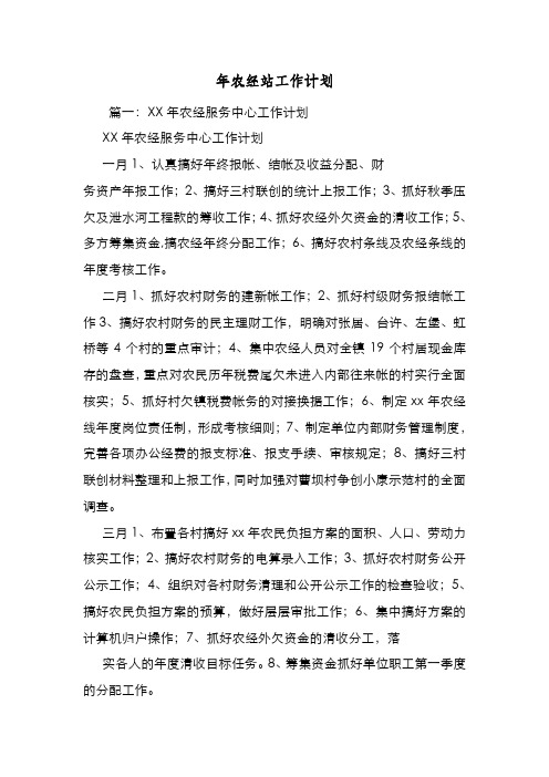 新编整理年农经站工作计划