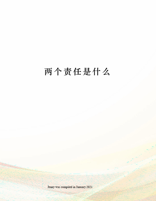 两个责任是什么