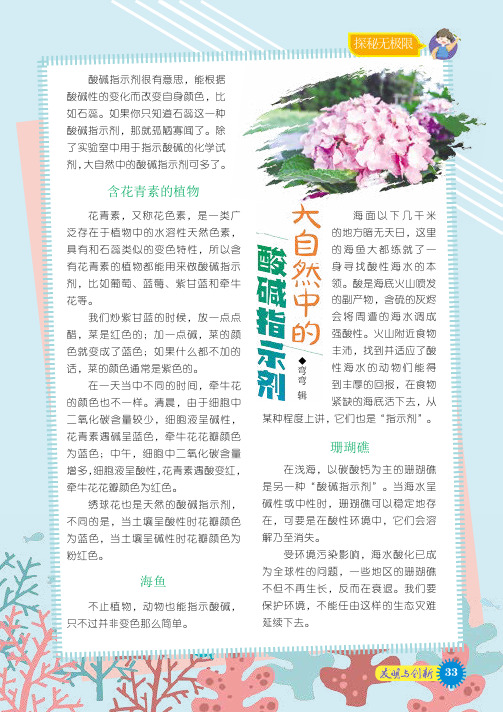 大自然中的酸碱指示剂