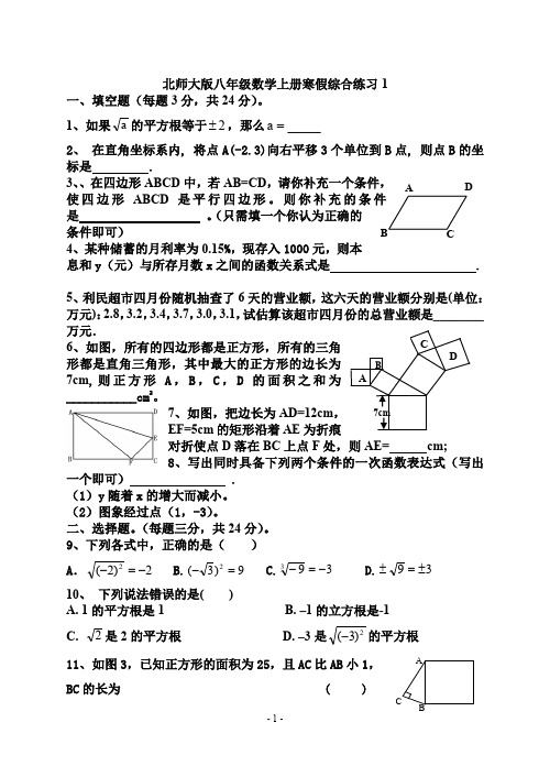 北师大版八年级数学上册寒假综合练习 1
