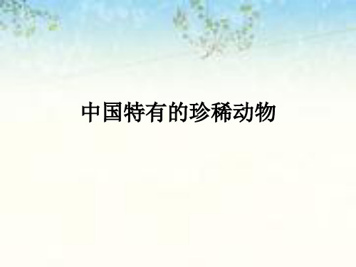 中国特有的珍稀动物