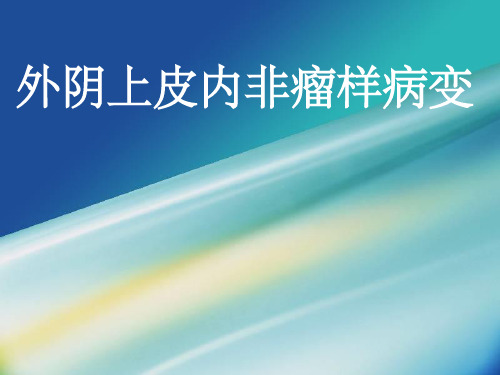 外阴上皮内非瘤样病变课件