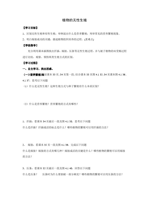 植物的无性生殖