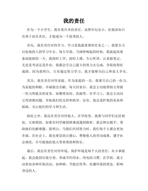 小学作文我的责任