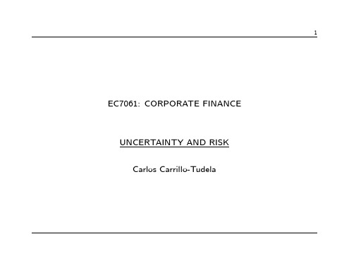 Uncertainty Risk