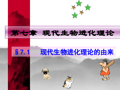 7.1现代生物进化理论的由来