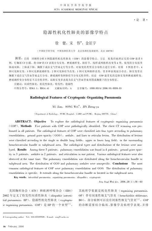 隐源性机化性肺炎的影像学特点