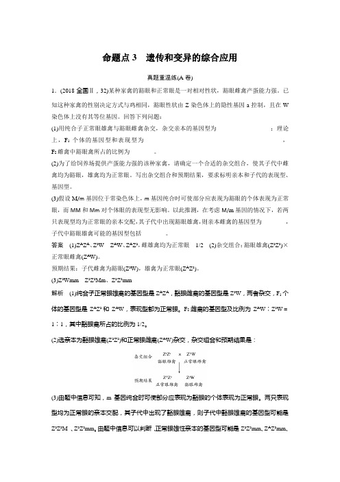 2019年高考高中生物步步高二轮考前三个月完整版专项二命题点3