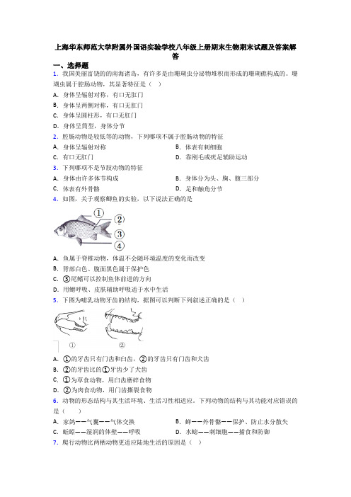 上海华东师范大学附属外国语实验学校八年级上册期末生物期末试题及答案解答