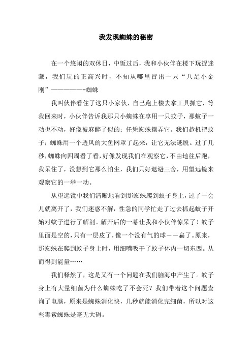 我发现蜘蛛的秘密