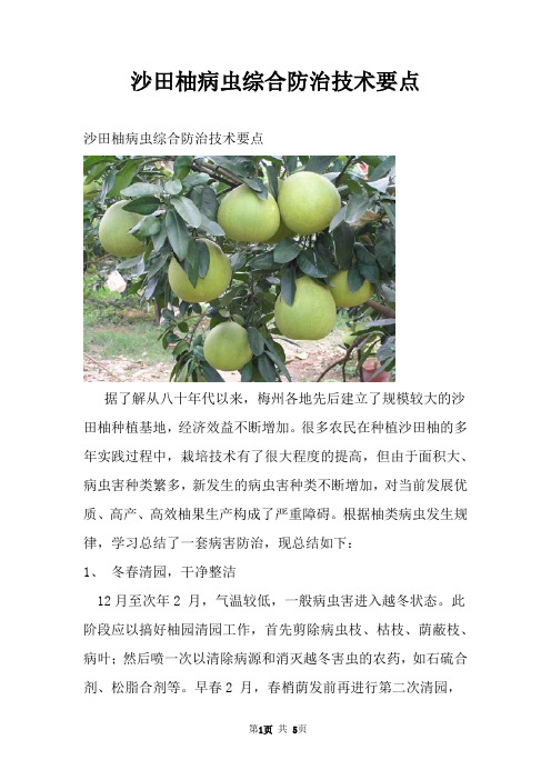 沙田柚病虫综合防治技术要点