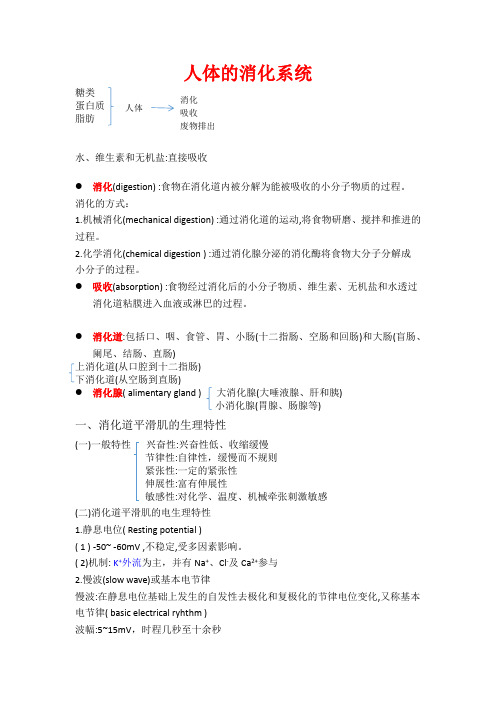 消化系统笔记