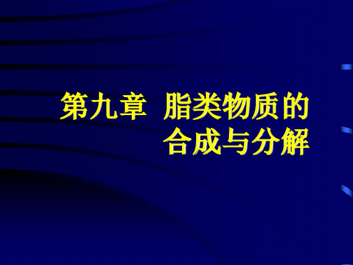 生物化学脂类物质的合成与分解ppt课件
