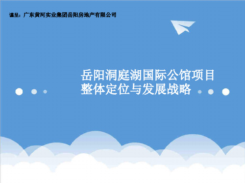 项目管理-世联湖南岳阳洞庭湖国际公馆高端项目整体定位与发展战 精品