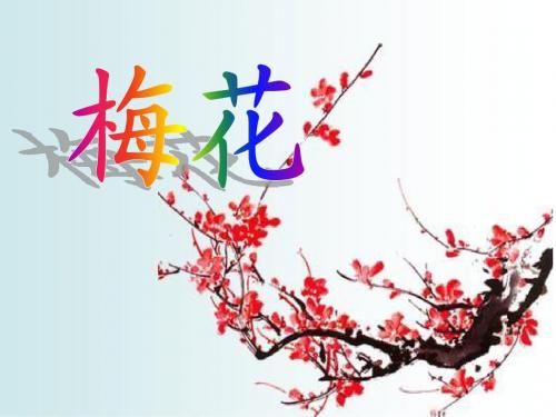 梅花 介绍