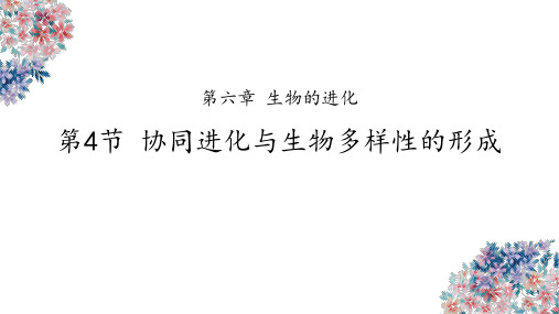 6-4协同进化与生物多样性的形成(含视频)(教学课件) ——高中生物学人教版(2019)必修二