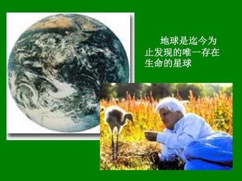 破解生命起源之谜ppt7 人教课标版