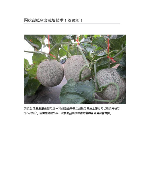  网纹甜瓜全套栽培技术(收藏版)