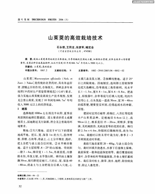 山茱萸的高效栽培技术