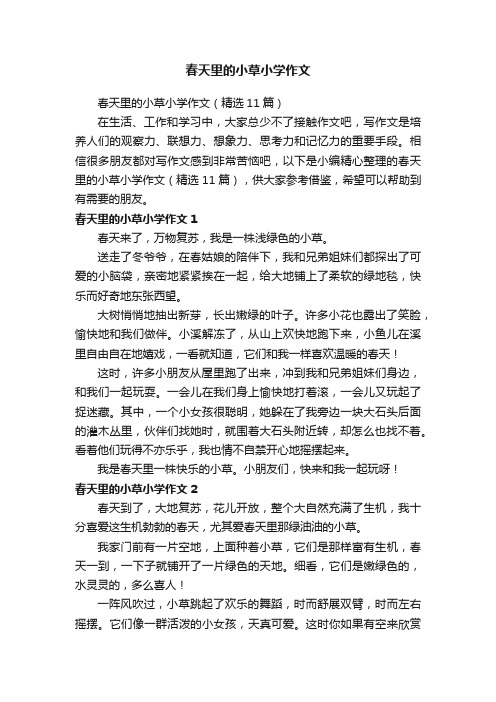 春天里的小草小学作文（精选11篇）