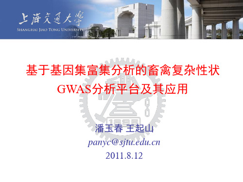 基于基因集富集分析的畜禽复杂性状GWAS分析平台及其应用