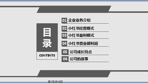 小红书经营模式PPT课件