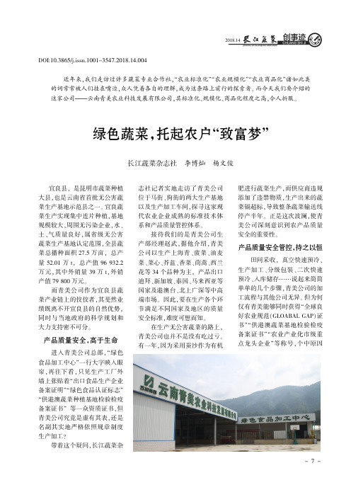 绿色蔬菜,托起农户“致富梦”
