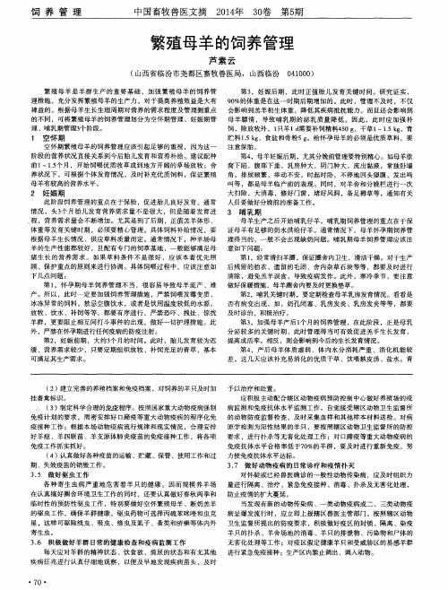 繁殖母羊的饲养管理