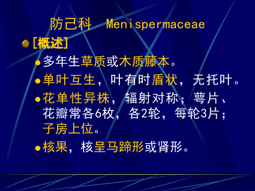 防己