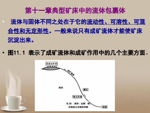 第十一章典型矿床中的流体包裹体