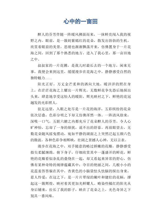 中学生满分作文精选：心中的一亩田