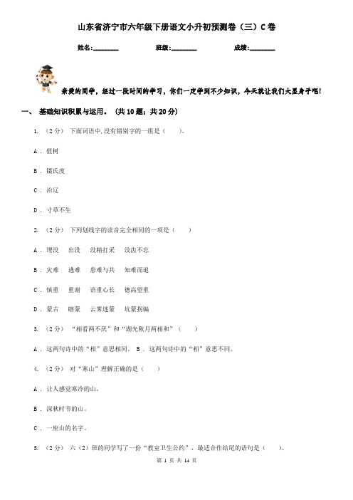 山东省济宁市六年级下册语文小升初预测卷(三)C卷