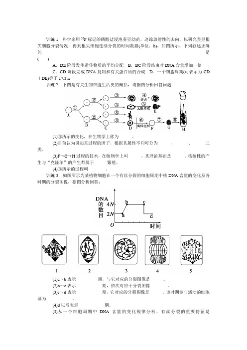 苏教版  细胞增殖、分化、衰老和凋亡 单元测试