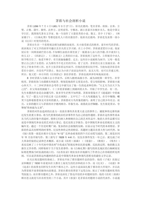 矛盾与社会剖析小说
