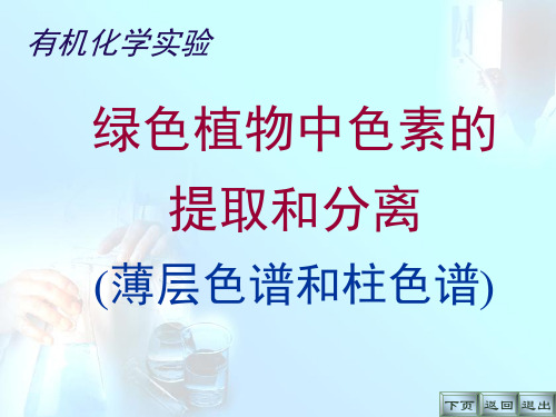 绿色植物中色素的提取和分离薄层色谱和柱色谱