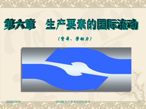 第6章-生产要素的国际流动