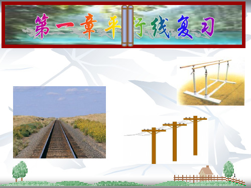 第一章 平行线 复习 (新)PPT课件