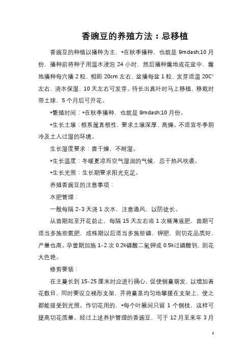 香豌豆的养殖方法：忌移植