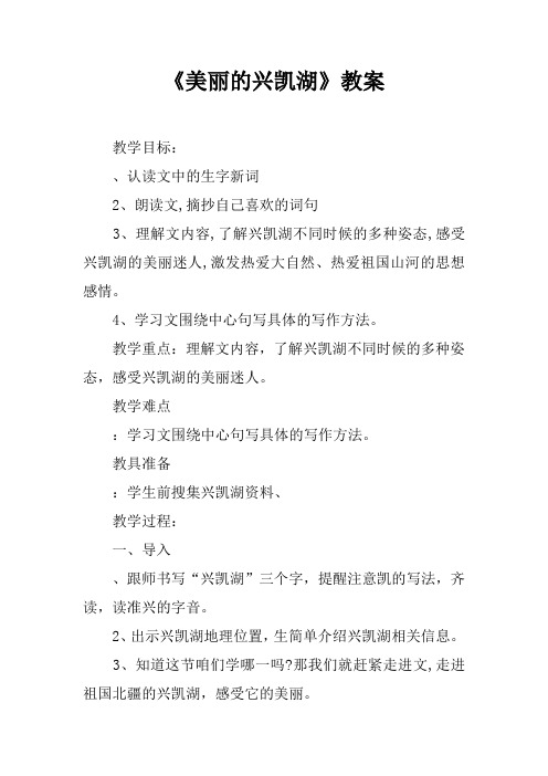 《美丽的兴凯湖》教案