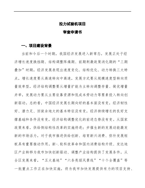 某某公司拉力试验机项目审查申请书模板