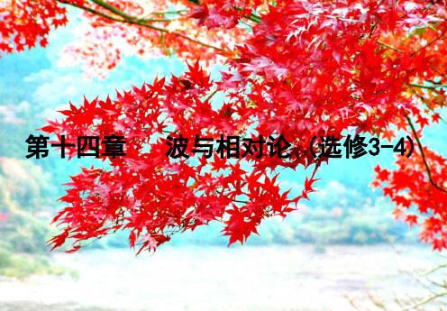 高考物理一轮复习第十四章波与相对论(第4课时)课件(选修34)高三选修34物理课件