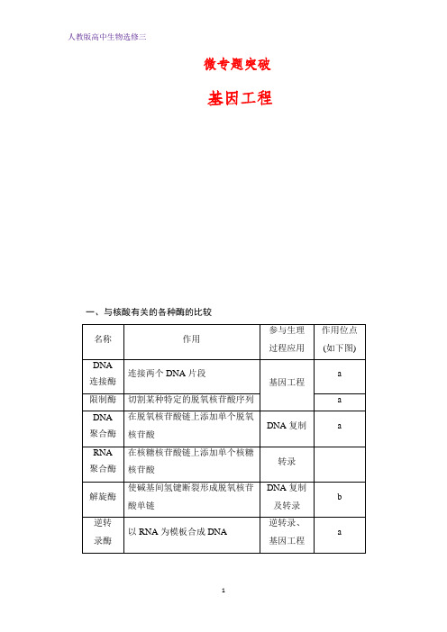 人教高中生物选修三提分教程：专题1 将目的基因导入受体细胞和目的基因的检测与鉴定 含解析(1)